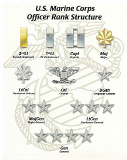 marine corps rank structure essay marine corps rank structure essay